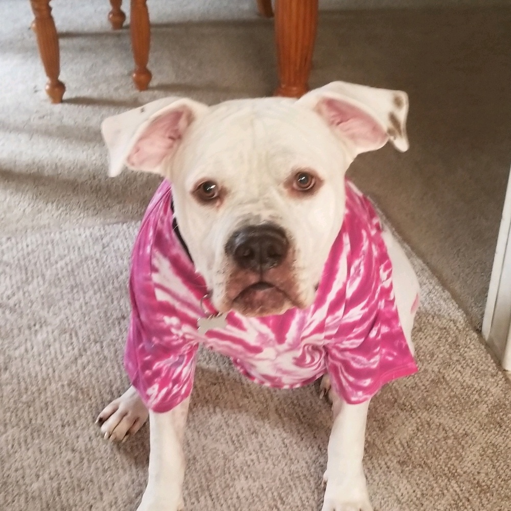 Meet your Posher, Tamara